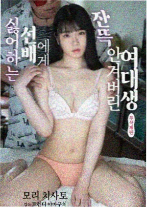 温蒂与哈比 角色档案图